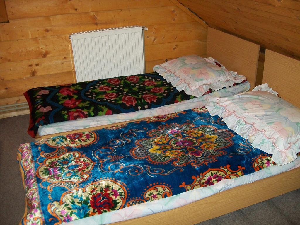 Pensiunea Carmen Bucium  Room photo